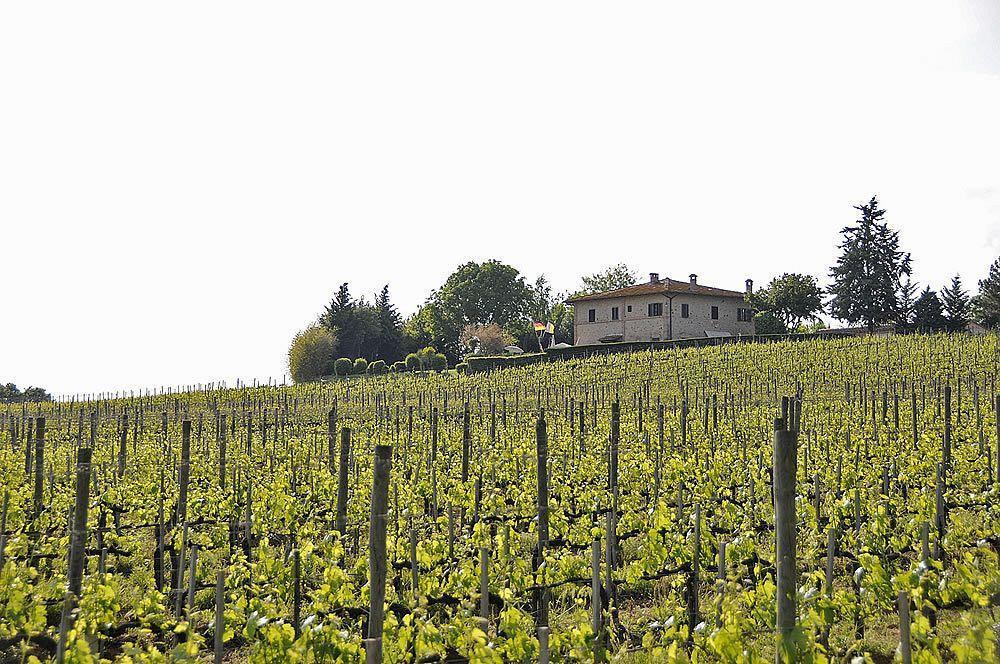 Isola d'Arbia Il Colombaio, Siena -Appartamenti E Camere- المظهر الخارجي الصورة