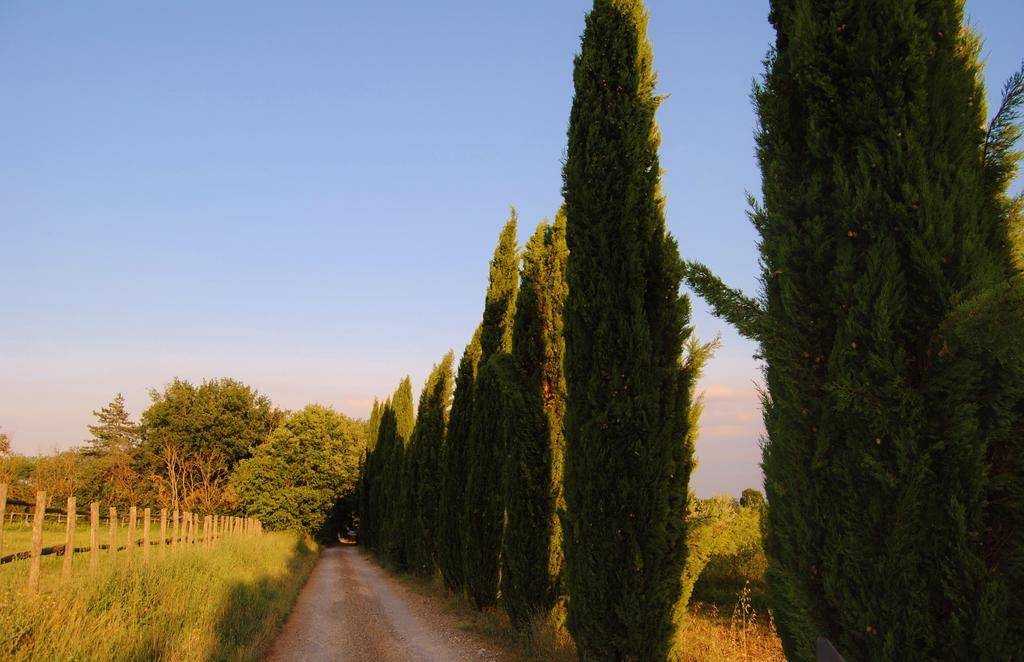 Isola d'Arbia Il Colombaio, Siena -Appartamenti E Camere- المظهر الخارجي الصورة