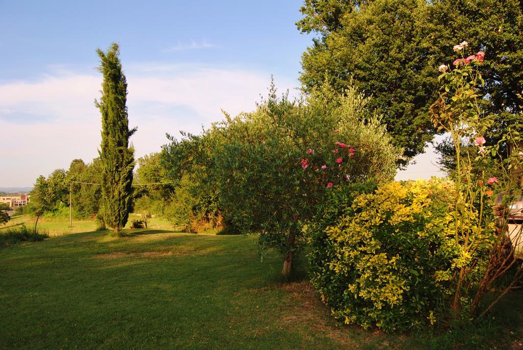 Isola d'Arbia Il Colombaio, Siena -Appartamenti E Camere- المظهر الخارجي الصورة