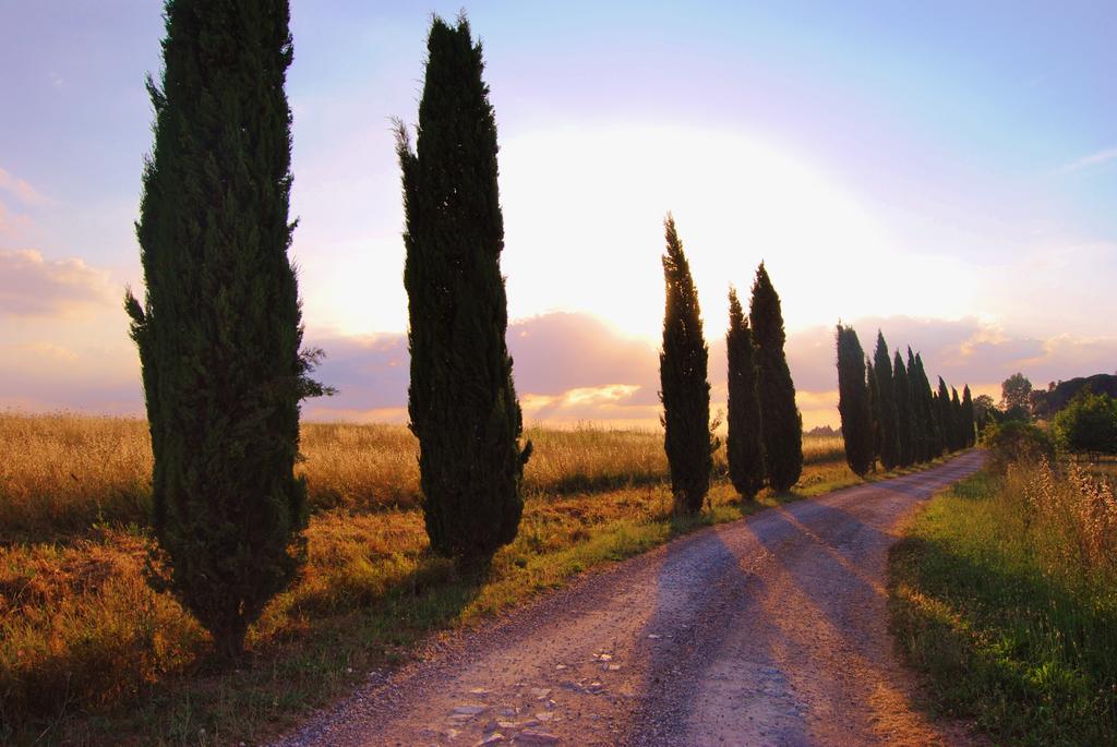 Isola d'Arbia Il Colombaio, Siena -Appartamenti E Camere- المظهر الخارجي الصورة